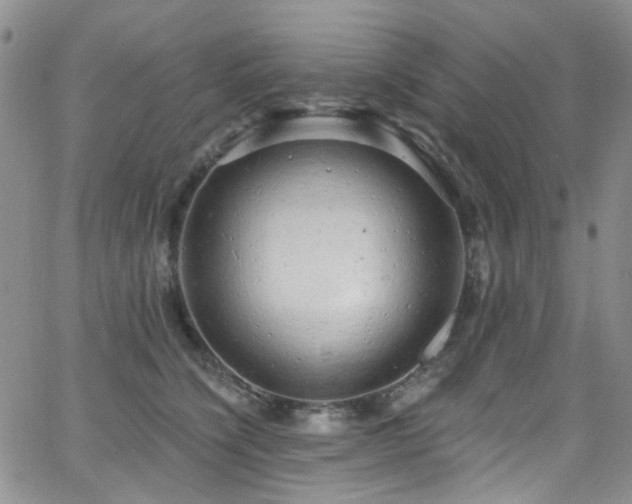 X0000063530564200601201501