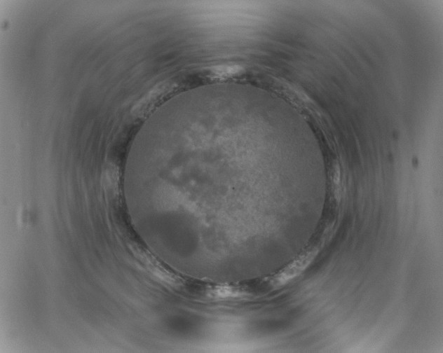 X0000063530565200601201501