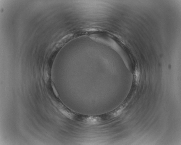 X0000063530566200601201501