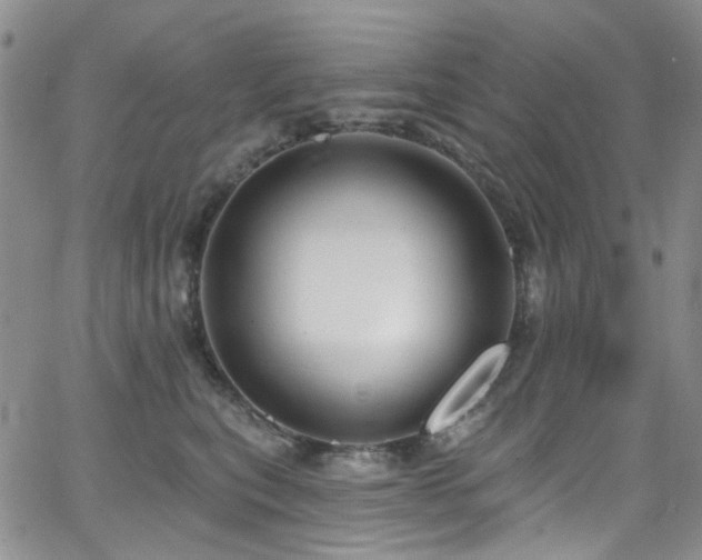 X0000063530567200601201501