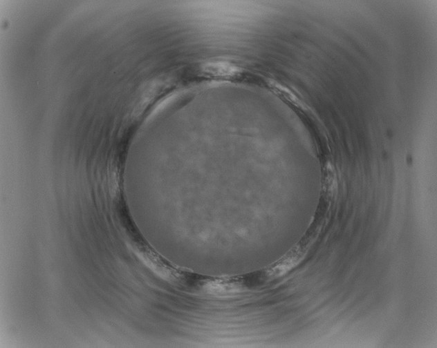 X0000063530568200601201501