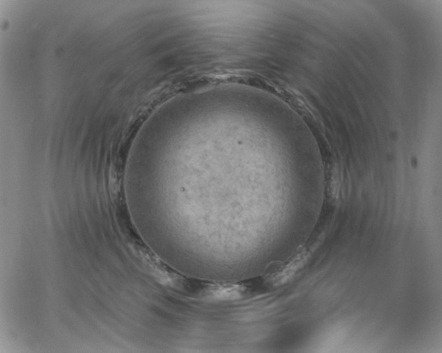 X0000063530569200601201501