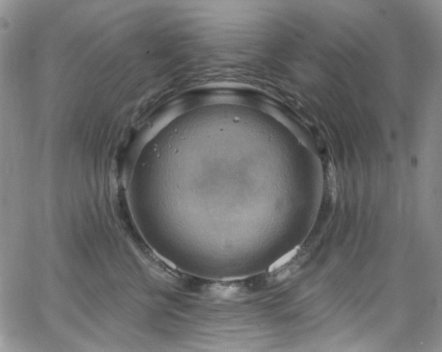 X0000063530570200601201501