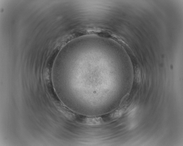 X0000063530571200601201501