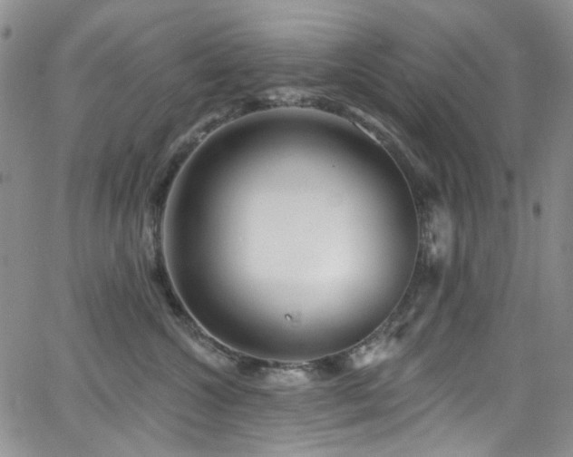 X0000063530572200601201501