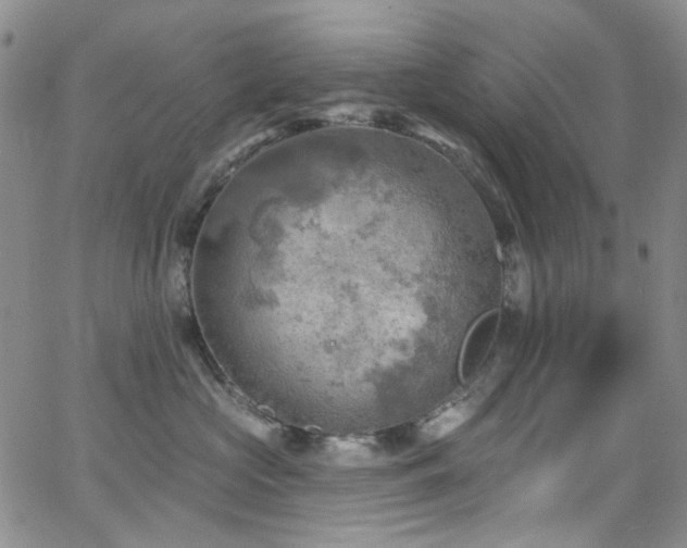 X0000063530573200601201501