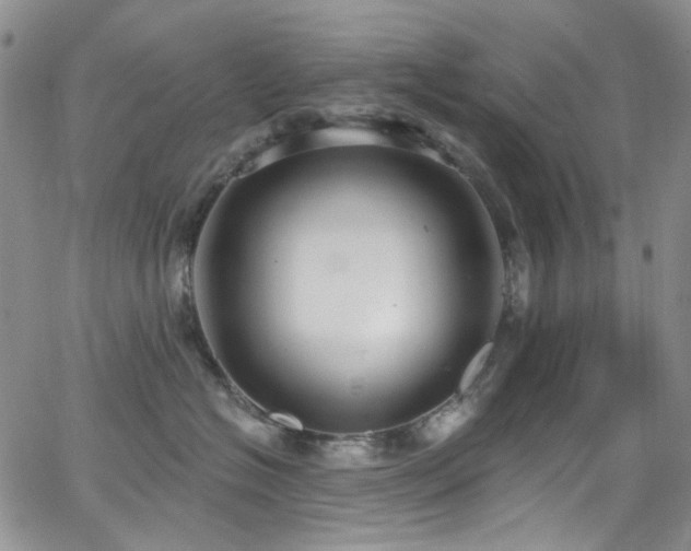 X0000063530574200601201501