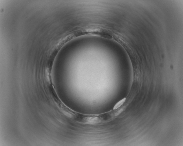 X0000063530575200601201501