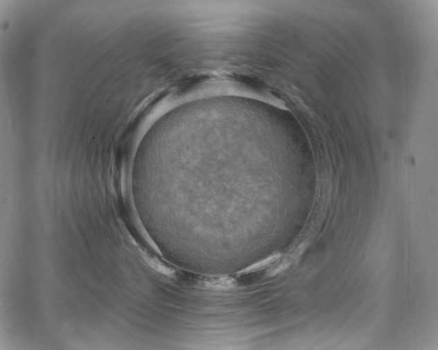 X0000063530576200601201501