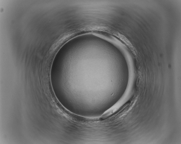 X0000063530577200601201500