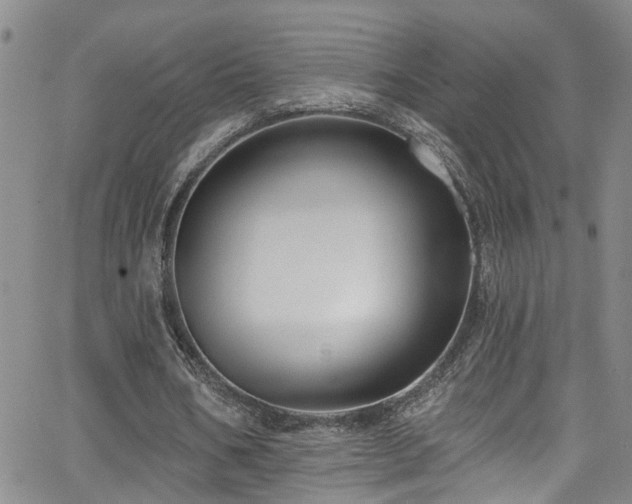 X0000063530578200601201500