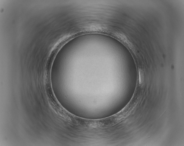 X0000063530579200601201500