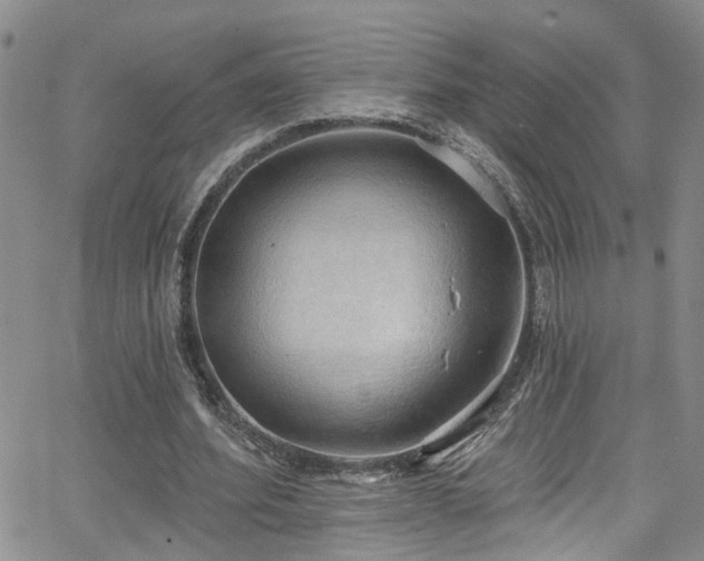 X0000063530580200601201500