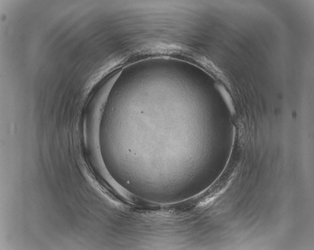 X0000063530581200601201500