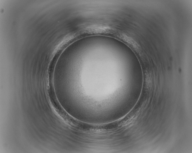 X0000063530582200601201500