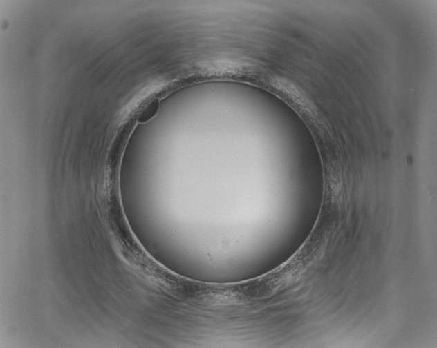 X0000063530583200601201500