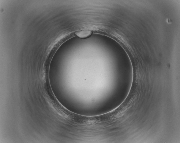 X0000063530584200601201500