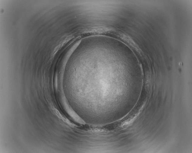 X0000063530585200601201500