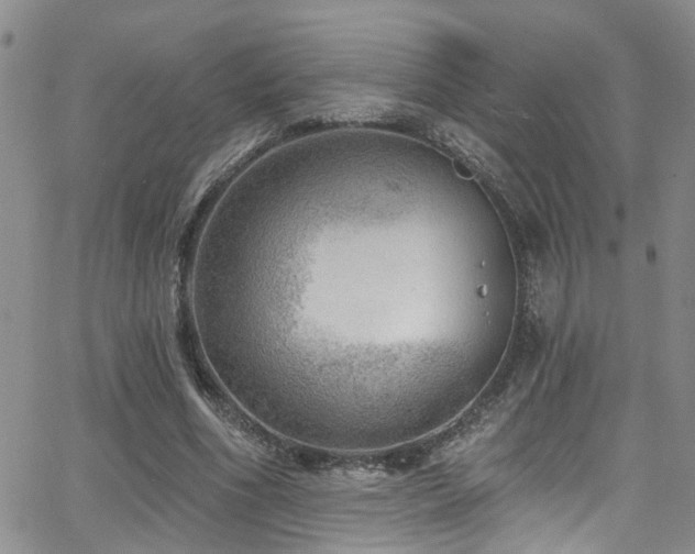 X0000063530586200601201500