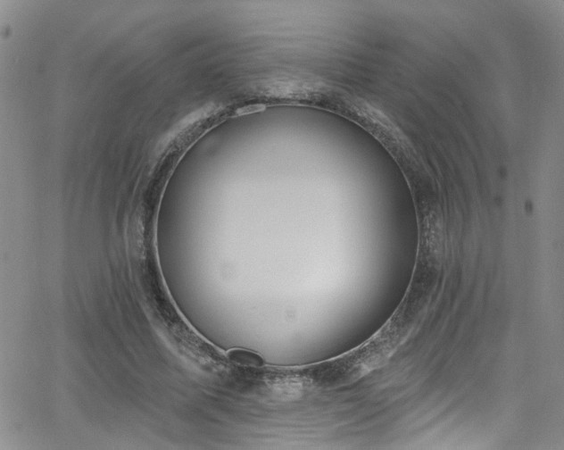 X0000063530587200601201500