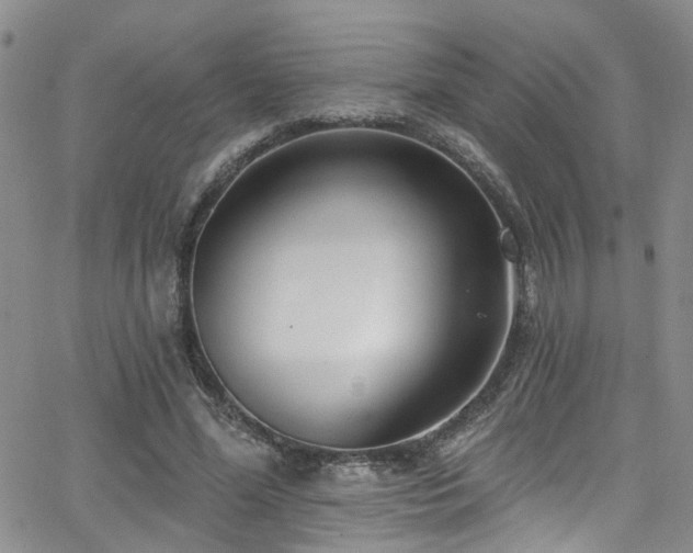 X0000063530588200601201500