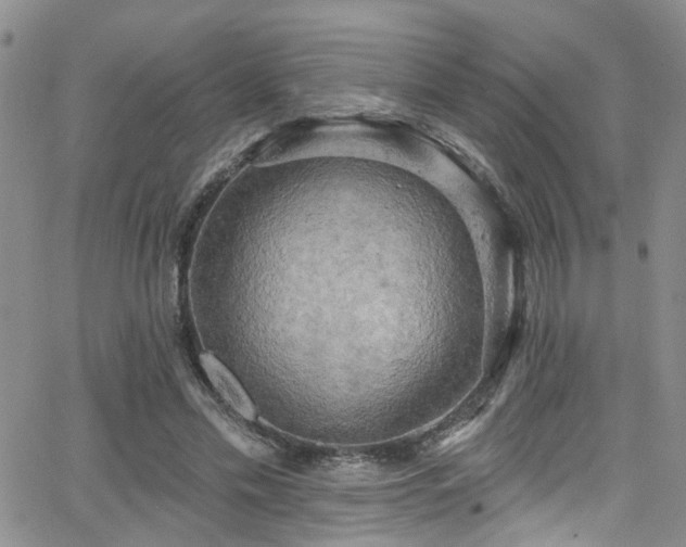 X0000063530589200601201500