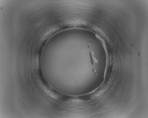 X0000063530590200601201500