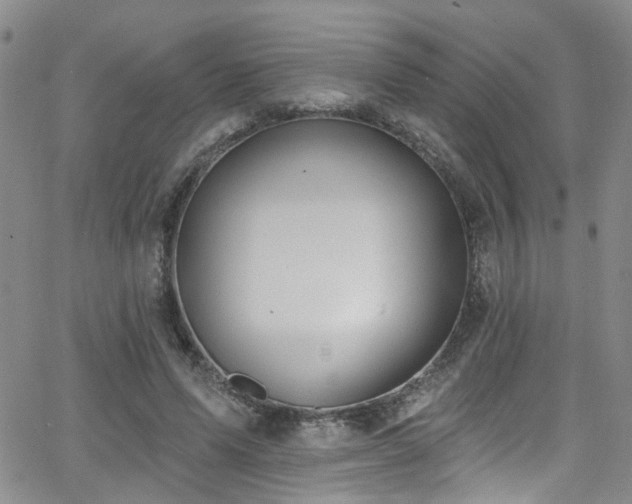 X0000063530591200601201500