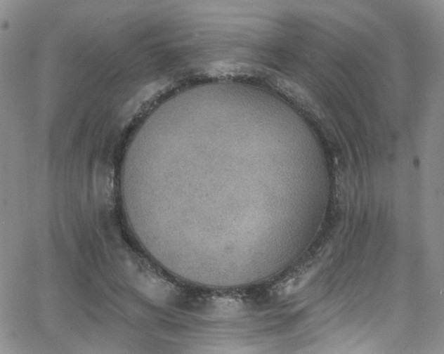 X0000063530592200601201500