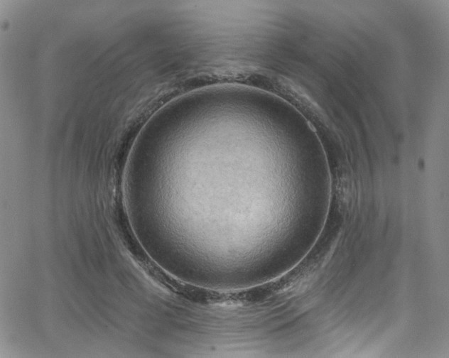 X0000063530593200601201500