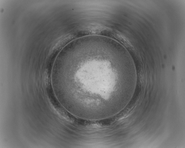 X0000063530594200601201500