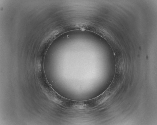 X0000063530595200601201500