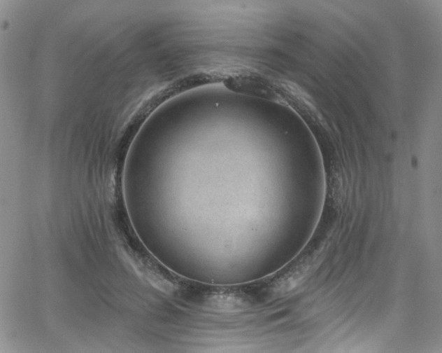 X0000063530596200601201500