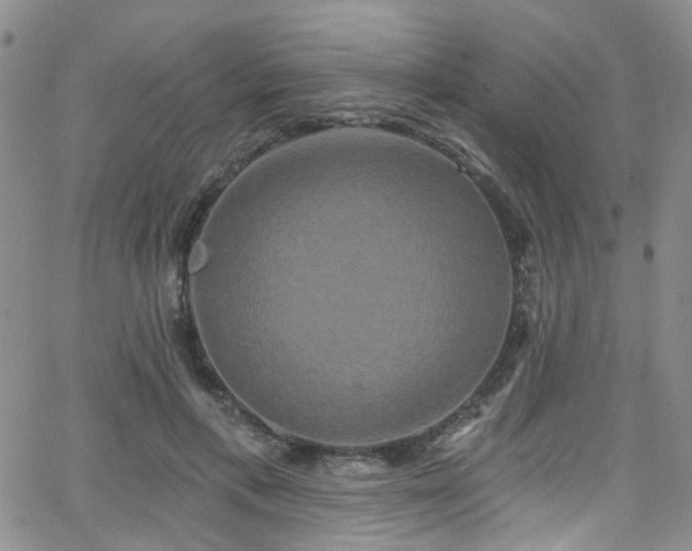 X0000063530597200601201500