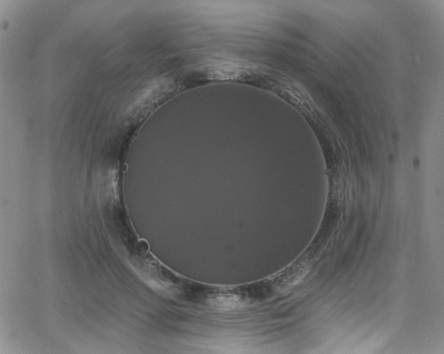 X0000063530598200601201500