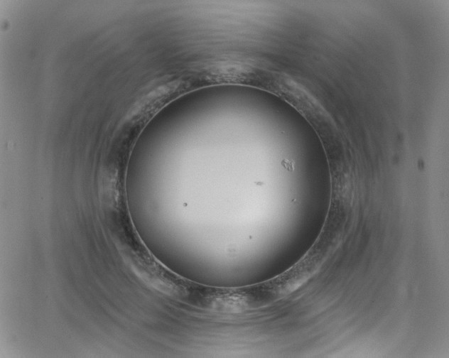 X0000063530599200601201500