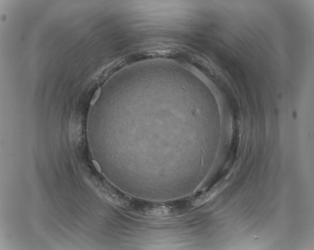 X0000063530600200601201500