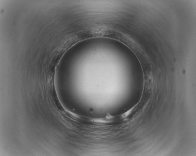 X0000063530601200601201500