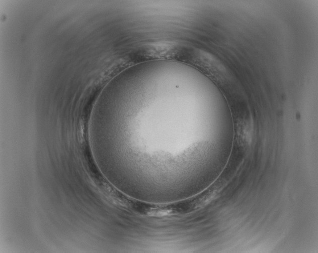 X0000063530602200601201500