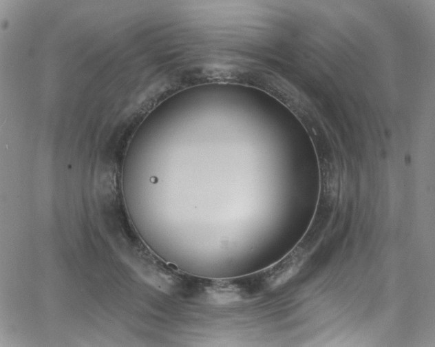 X0000063530603200601201500