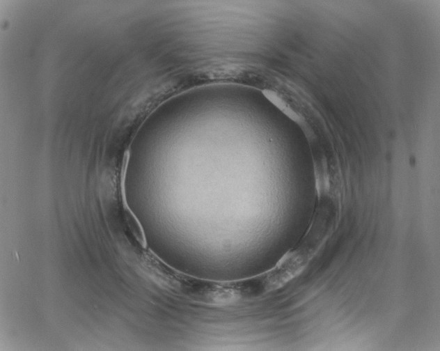 X0000063530604200601201500