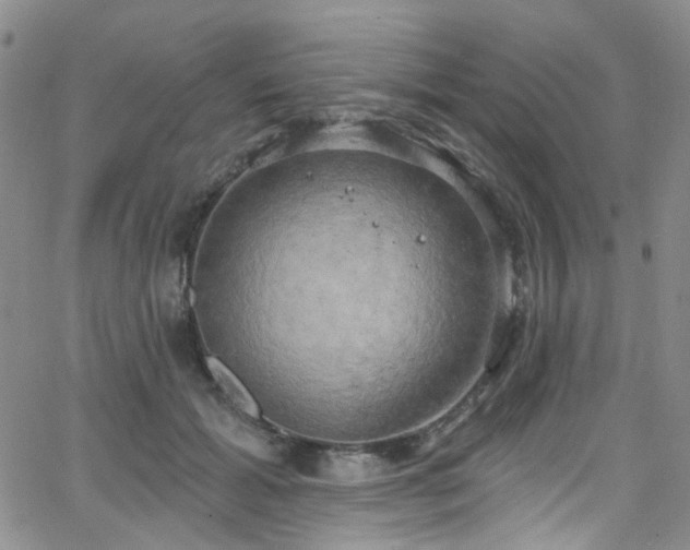 X0000063530605200601201500