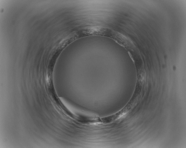 X0000063530607200601201500