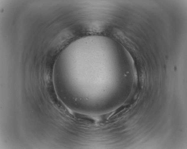 X0000063530608200601201500