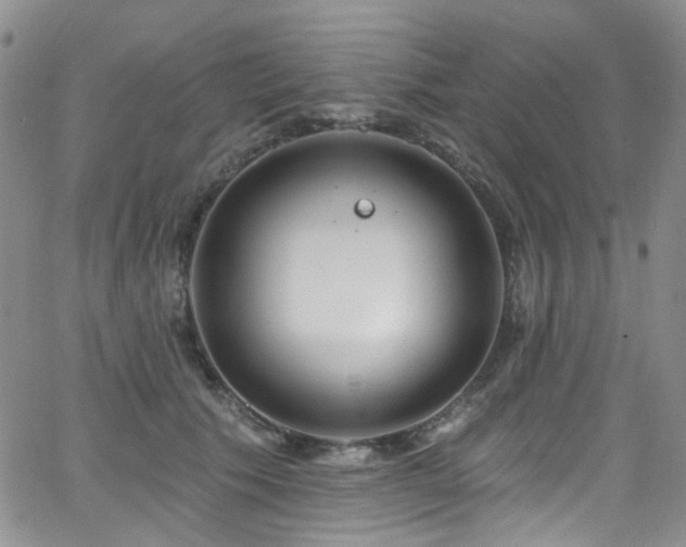 X0000063530609200601201500