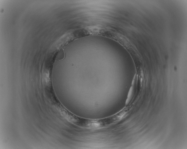 X0000063530610200601201500