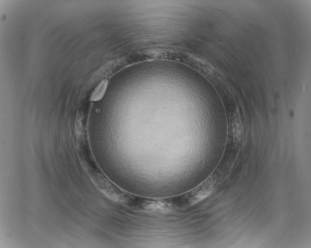 X0000063530611200601201500