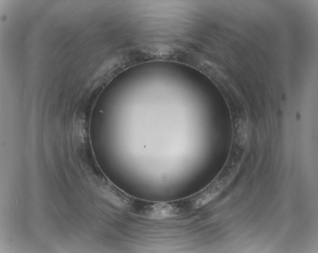 X0000063530612200601201500