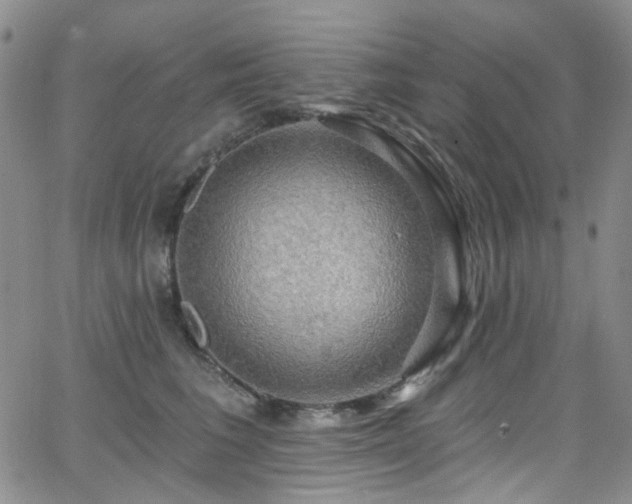 X0000063530613200601201500