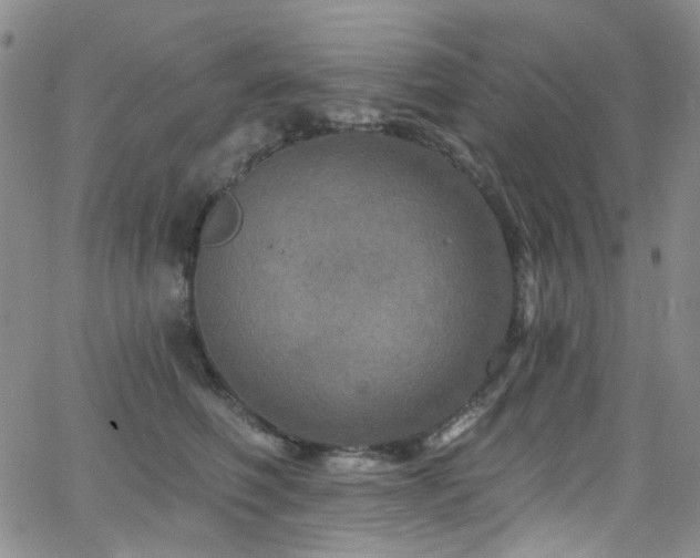 X0000063530614200601201500